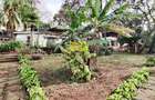 Land in Westlands Area - 18