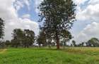 0.25 ac Commercial Land in Kiambu Road - 18