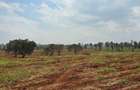 Land in Kiambu Road - 10