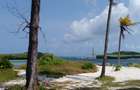 3.5 ac Land at Watamu - 2