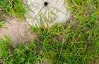 Land in Joska - 1