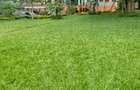 3 Bed House in Runda - 16