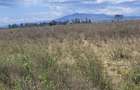 Land in Mai Mahiu - 7