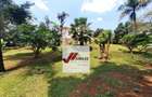 5,500 ft² Commercial Property with Parking in Gigiri - 6