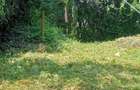 2 ac Land in Karen - 2
