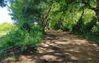 Land in Vipingo - 19