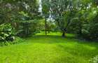 5 Bed House with En Suite in Kitisuru - 4
