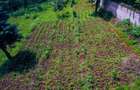 0.5 ac Land at Kinanda Close - 3