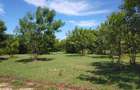 Land in Vipingo - 9