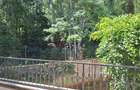 4 Bed Townhouse with En Suite at Off Peponi Rd - 3