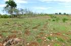 10,000 ft² Land at Vipingo - 6