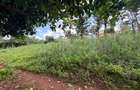 0.5 ac Land in Ngong - 1