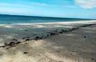 3.9 ac Land at Kikambala Beach - 19