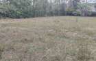 0.5 ac Land at Ololua - 1