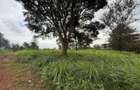 0.5 ac Land in Ruaka - 5