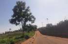 Land in Tatu City - 2