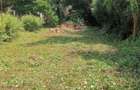 2 ac Land in Karen - 3