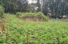 0.5 ac Land in Ngong - 3