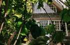 2 Bed House at Acacia Village Estate - 1