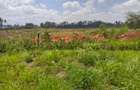Land in Muthaiga - 4