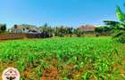 1 ac Residential Land at Thogoto - 1