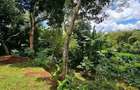 4 Bed House with En Suite at Loresho - 3