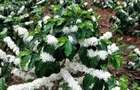 Land in Kiambu Road - 5