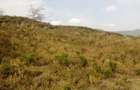 1 ac Land at Mai Mahiu - 5