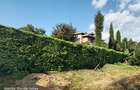 Land at Tigoni - 11