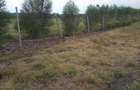 0.125 ac Residential Land in Ongata Rongai - 6