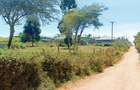 500 m² Residential Land at Nachu - Ndacha Area - 7