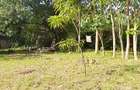 Land at Diani Beach Road - 4
