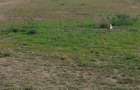 4.8 ac Commercial Property with Garden in Athi River - 8