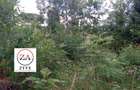 0.125 ac Land at Kasphat Estate - 12