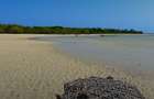 0.126 ac Land at Funzi Island Land For Sale - 18