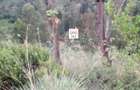 6 ac Land at Mukima Ridge - 17
