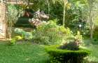 5 Bed House at Rosslyn Lone Tree - 6