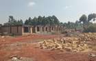 3 Bed Townhouse with En Suite in Gikambura - 14