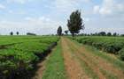 Land at Kiambu Rd - 12
