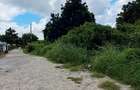 Land at Malindi - 7