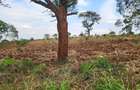 Residential Land in Ruiru - 3