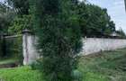 0.5 ac Land in Runda - 8