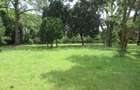 Residential Land at Koitobos Rd - 14