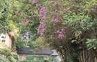 3 Bed Townhouse with Swimming Pool in Lavington - 6