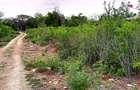 10 ac Land at Kuruwitu Vipingo - 6