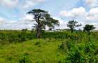 506 m² Land at Mavueni - Mariakani Bypass - 5