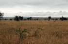 8 ac Land in Athi River - 7