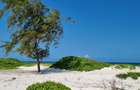 50 ac Land at Kilifi - 3
