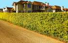 4 Bed Villa with En Suite in Runda - 4