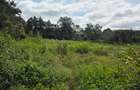 Land in Karen - 2